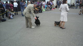 2011103013580000.jpg
